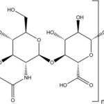 Hyaluronic molecule